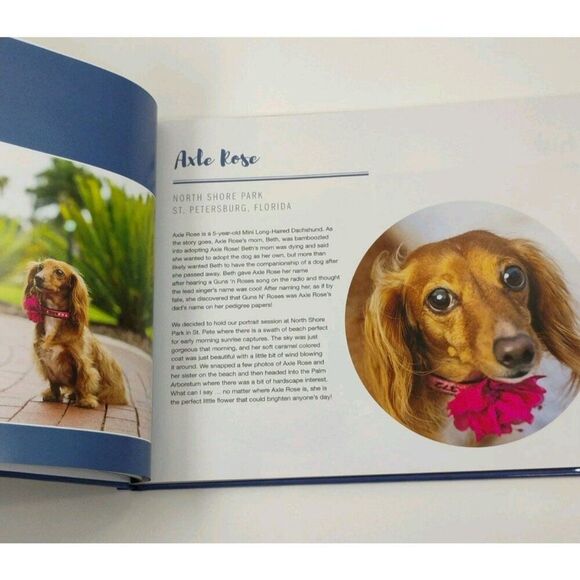 Tails Of The Sun Coast Dog Tog Pet Photography Book - Picture 10 of 16